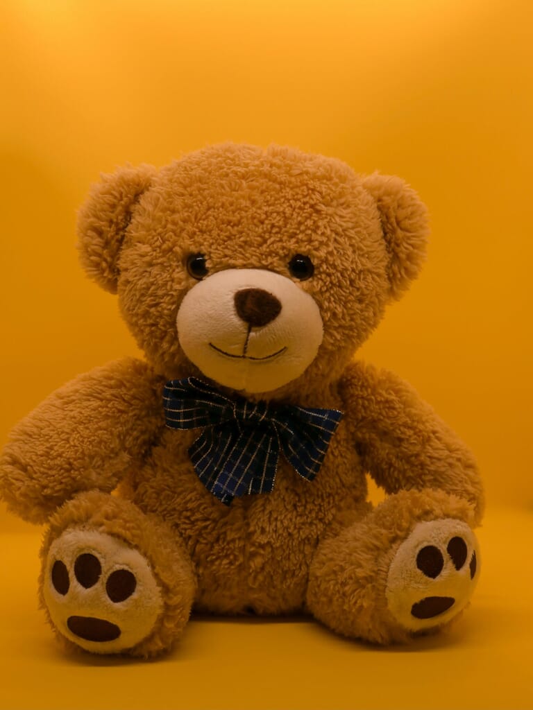 teddy-bear-scaled.jpg?w=768&h=1024&scale