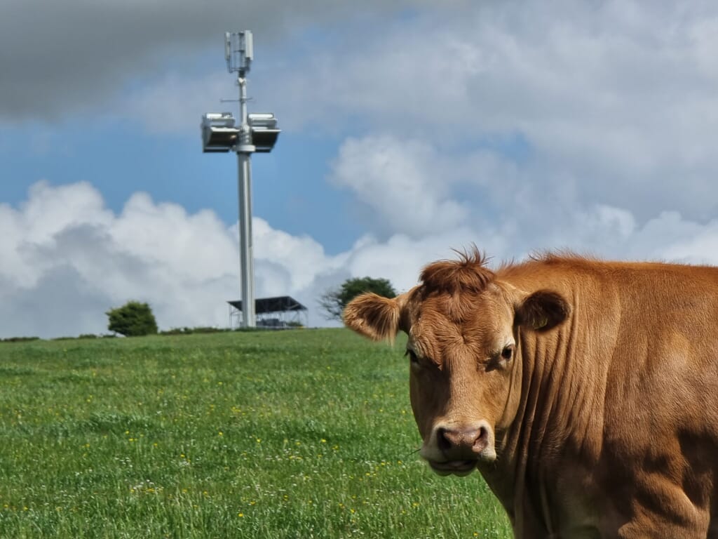 cow with crossflow turbine
