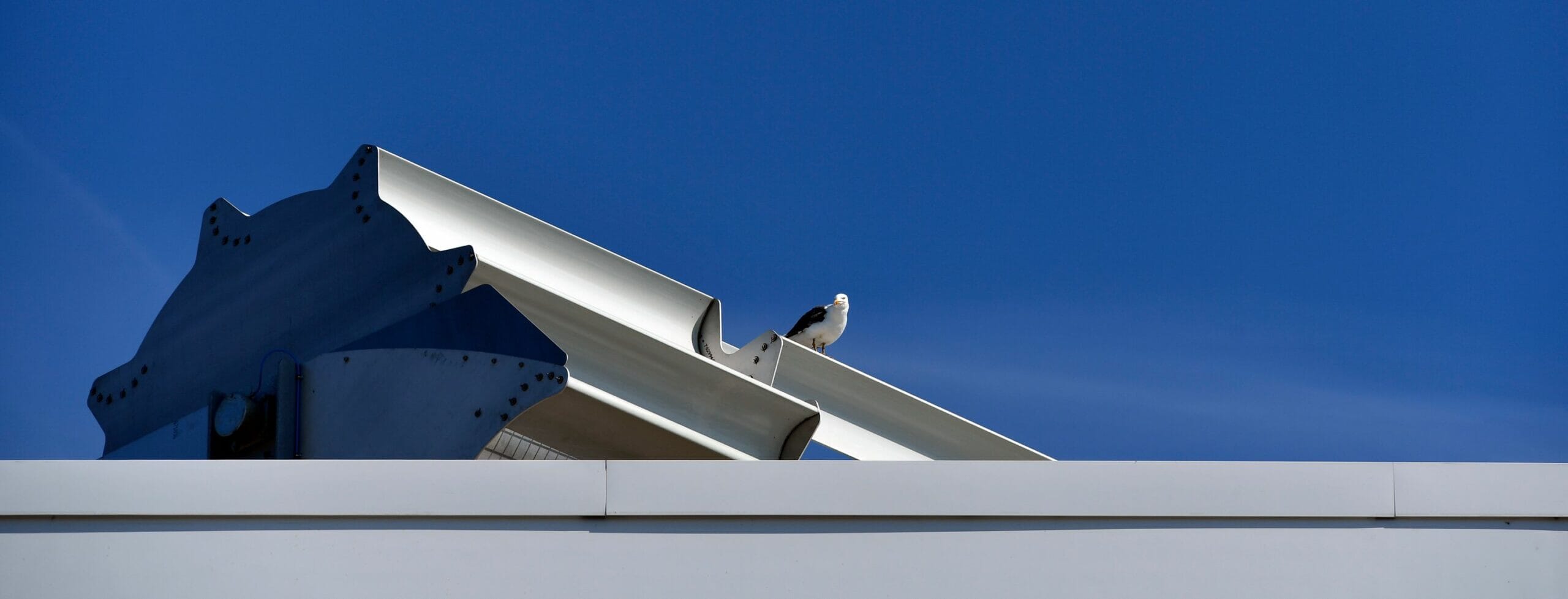 bird on wind turbine