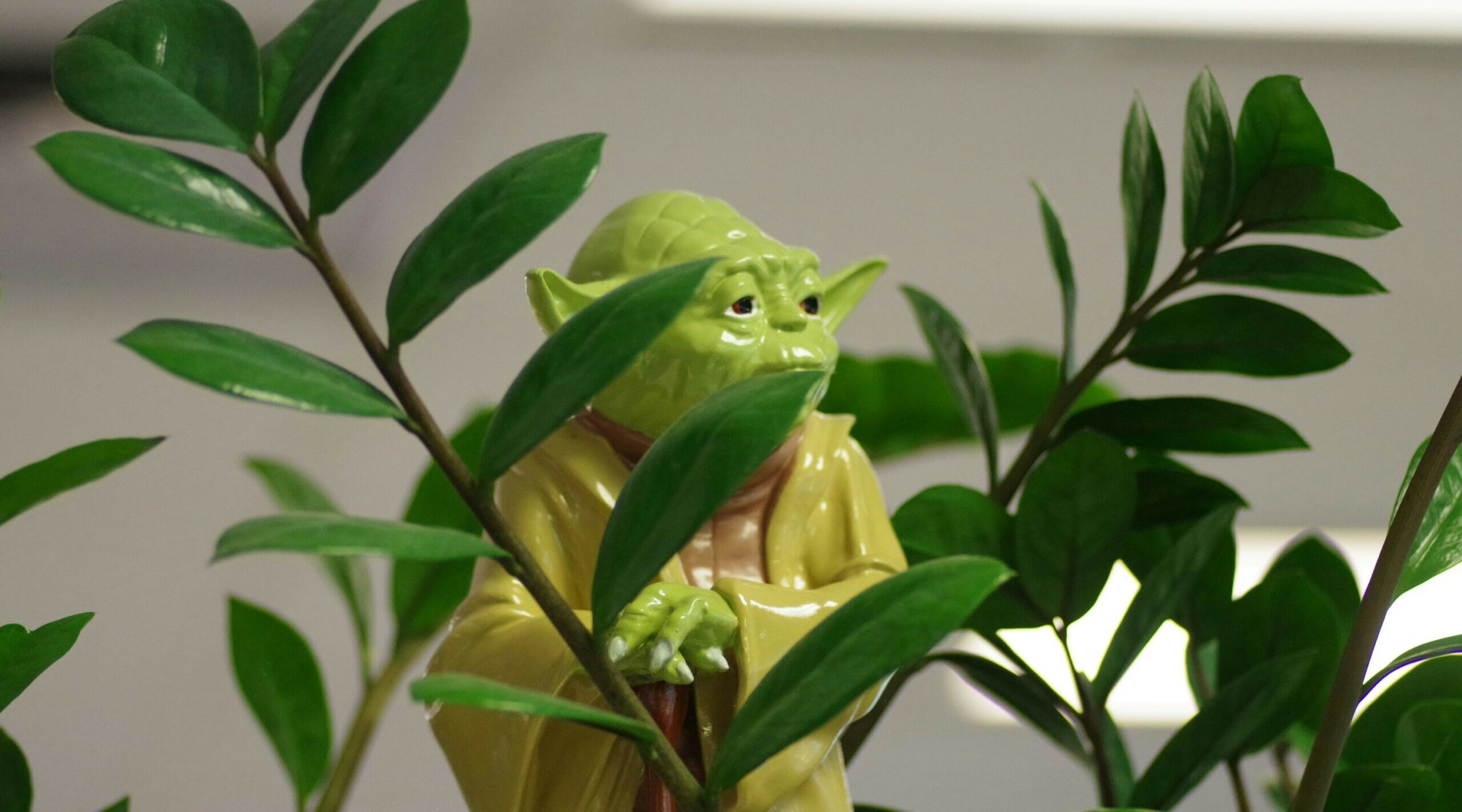yoda-toy-scaled