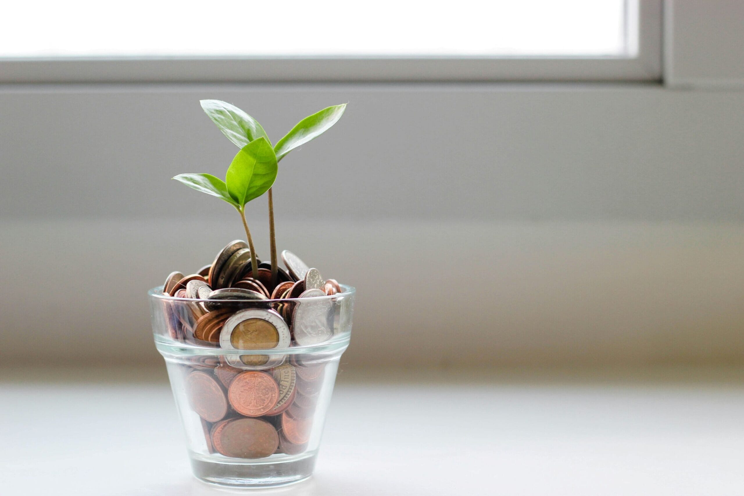 cup of coins with a plant growing out of it